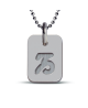 Mikado : pendentif ASTRO signe Capricorne (argent)