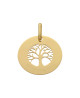 Pendentif personnalisable arbre de vie or - Lucas Lucor